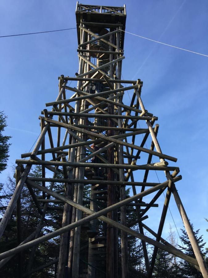Gite Les Dryades ジェラールメ エクステリア 写真